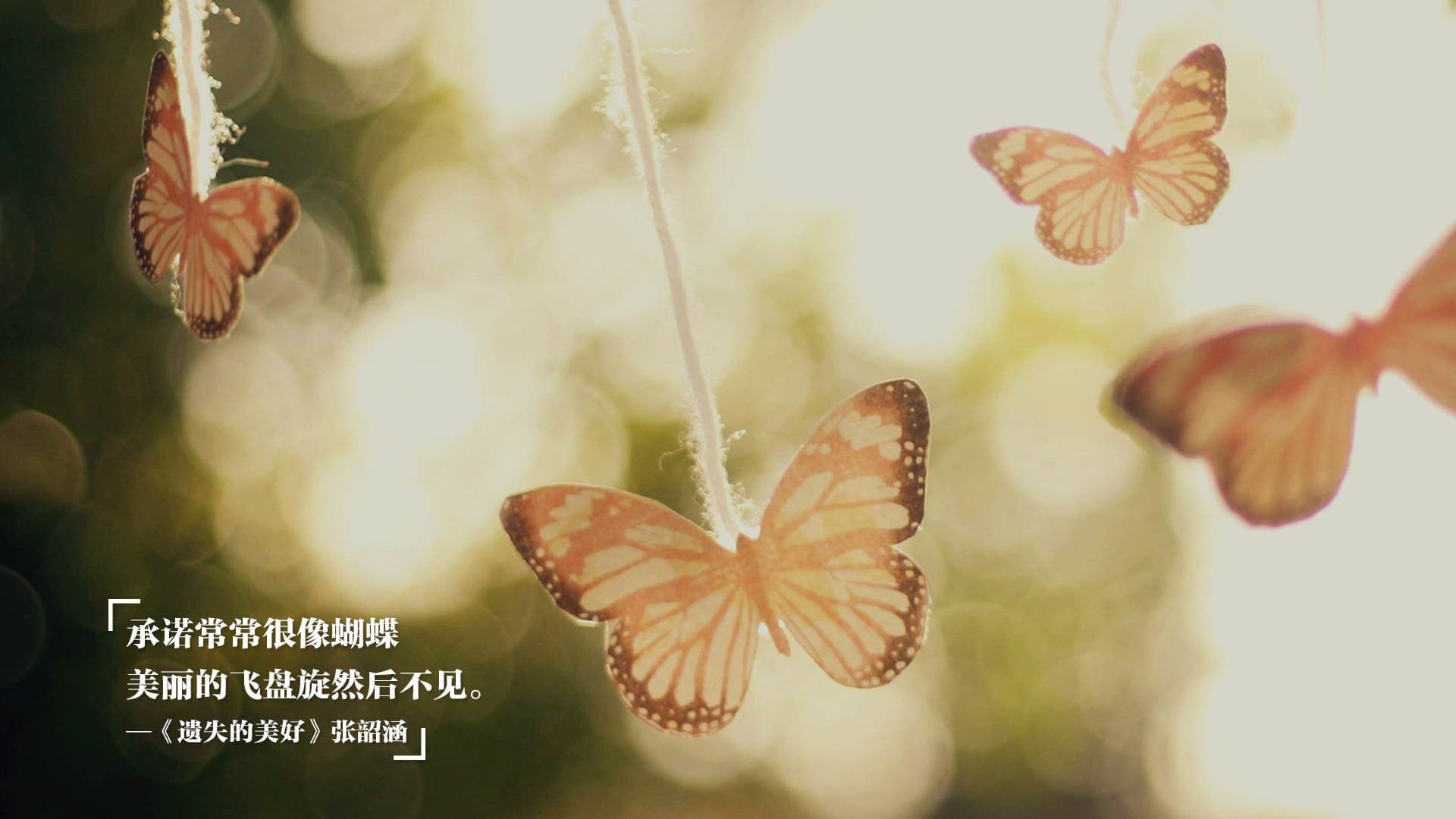 _公牛以韧性取胜，终结连败_，公牛对手