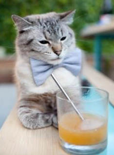 “法甲冠军争夺激烈，悬念久久难以揭晓”，法甲冠军次数排名最新