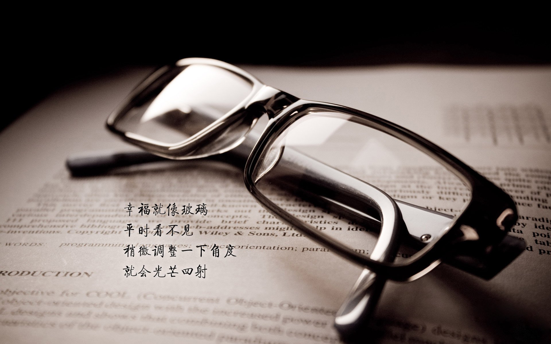 _特色沙滩运动节：趣味、挑战、娱乐齐聚_，沙滩大型活动项目