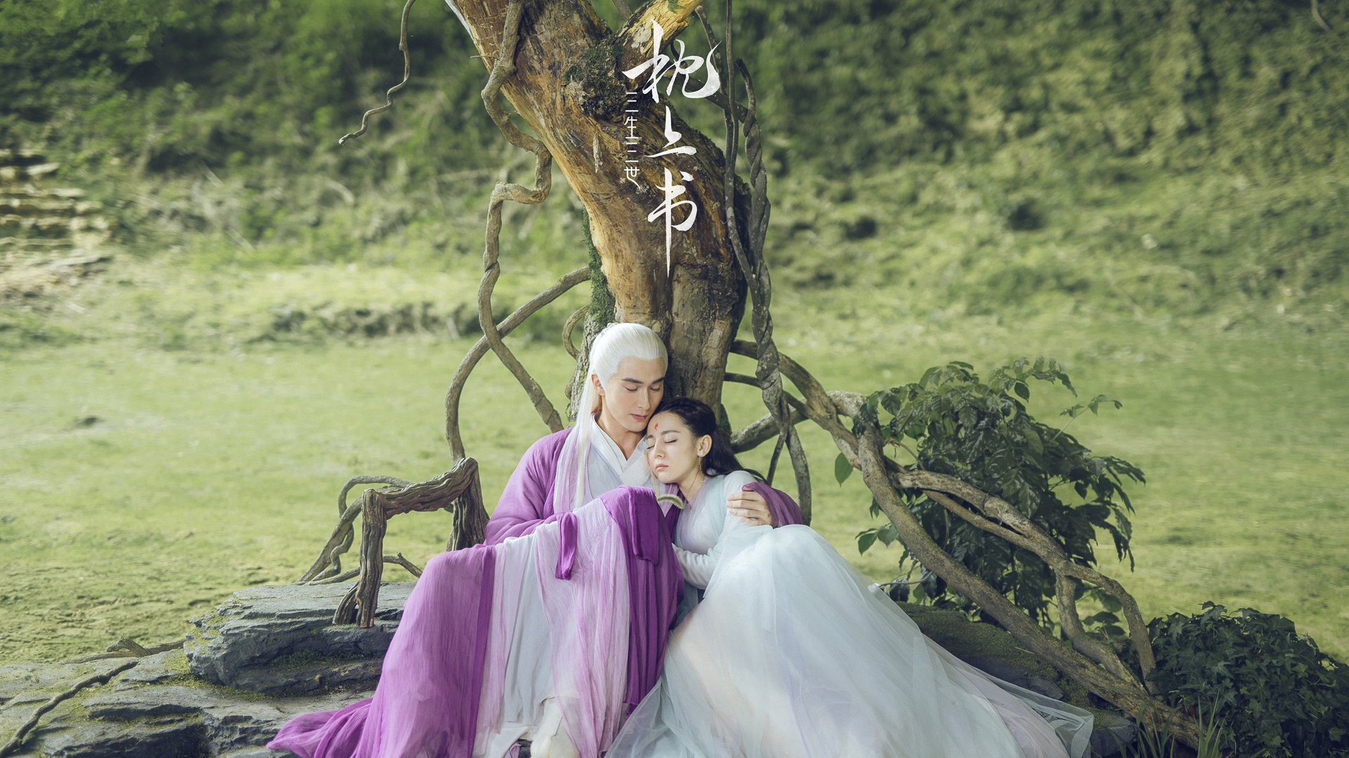 “足球场地建设提速，为全民运动提供硬件保障”，足球场的建设