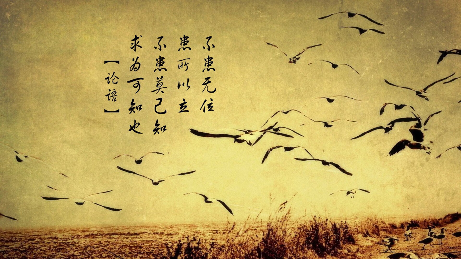 大数据辅助:为车迷提供个性化内容,大数据助手