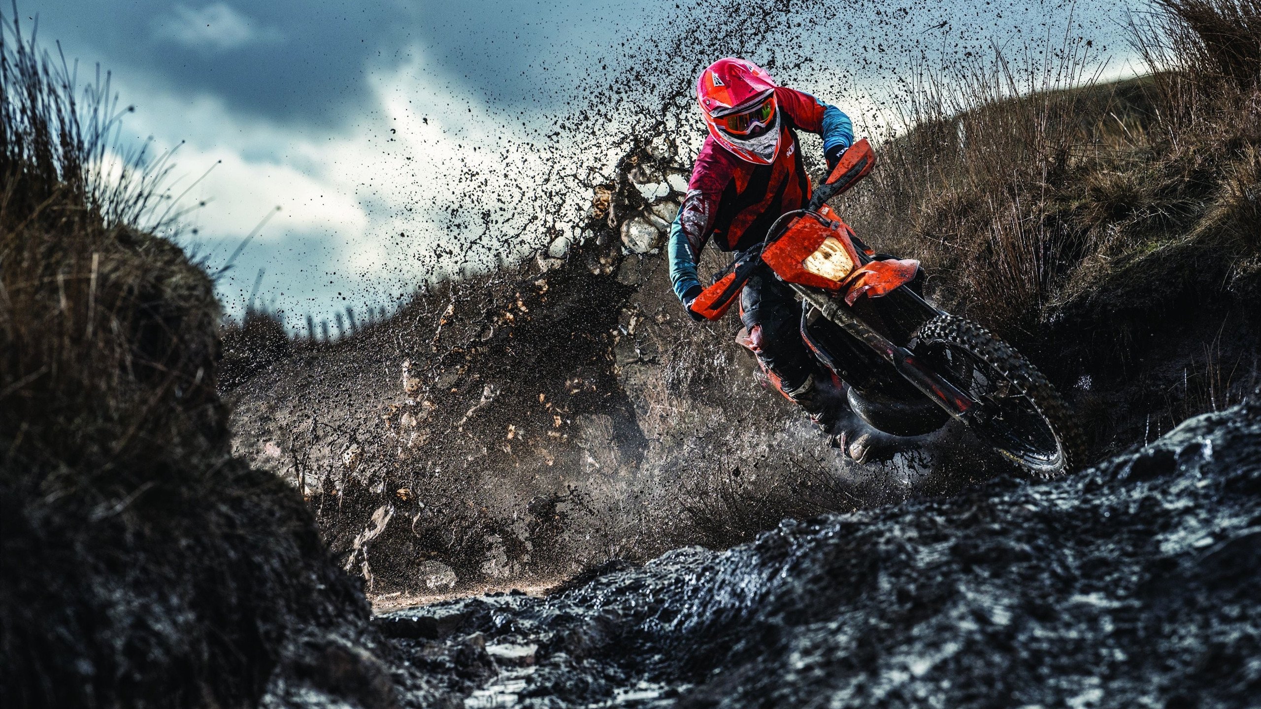 开云体育官网下载安装-林丹参与直播销售推广羽毛球文化